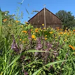 Alter Missen Guest house