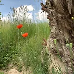 Alter Missen 3* Vetschau