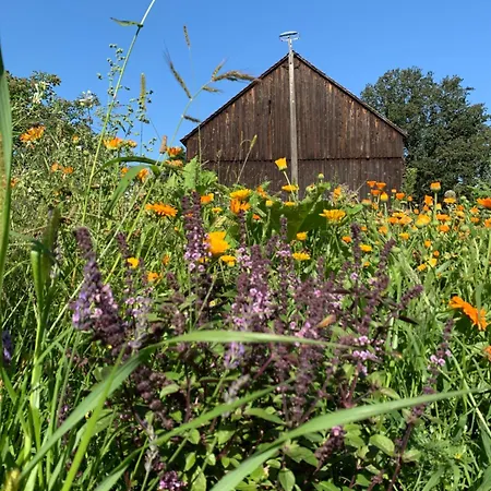 Alter Missen 게스트하우스