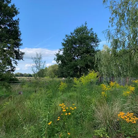 게스트하우스 Alter Missen 베츠쇼우