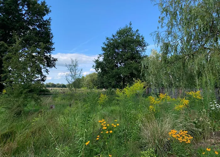 Pensión Alter Missen Vetschau